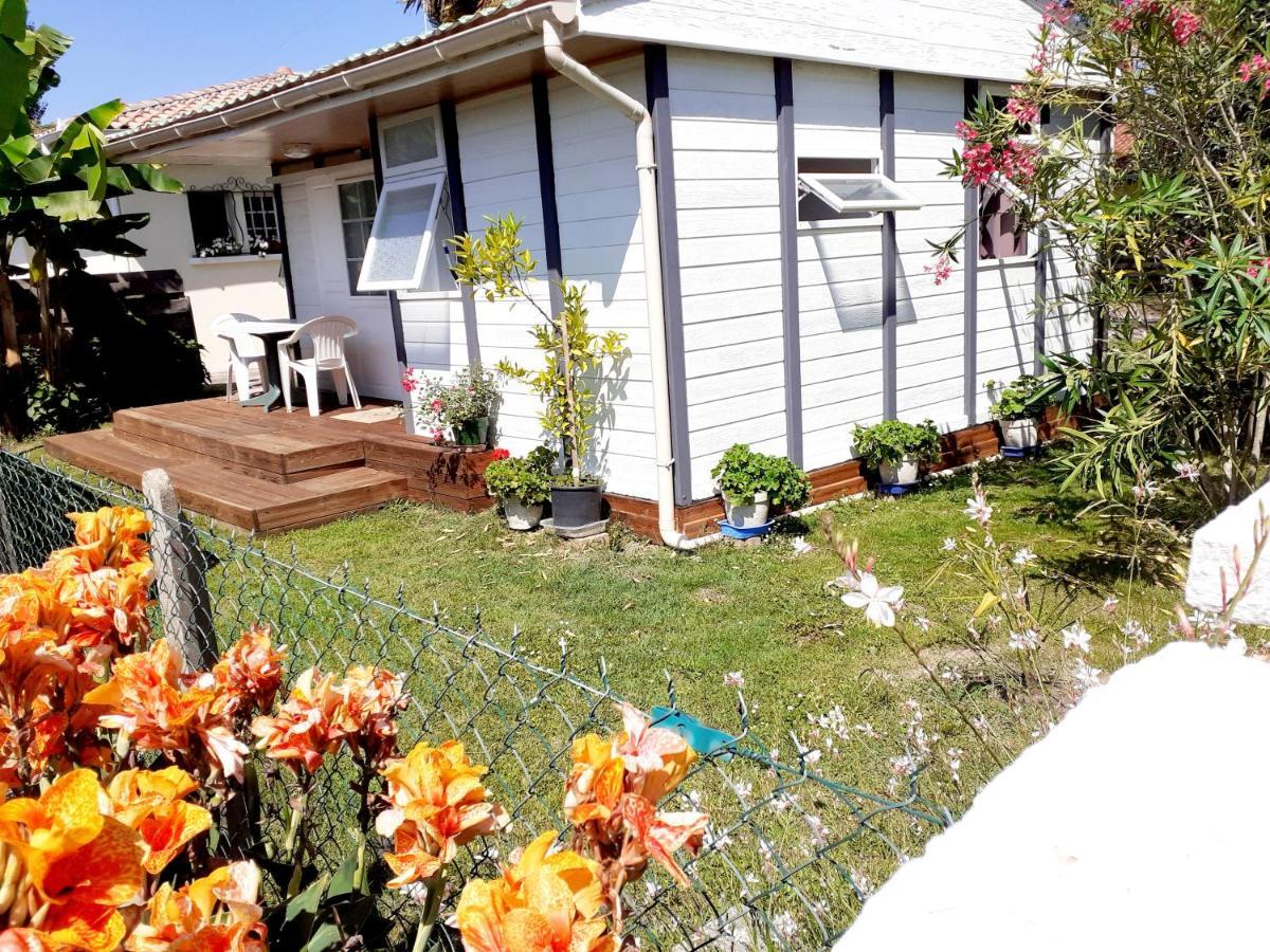 Chalet Narrosse Luaran gambar